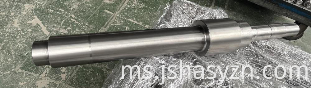 Motor shaft